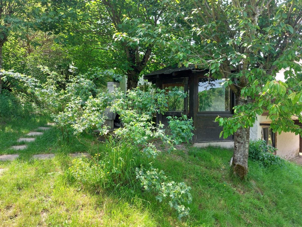 Xertigny Gite De Moulin Maurt מראה חיצוני תמונה